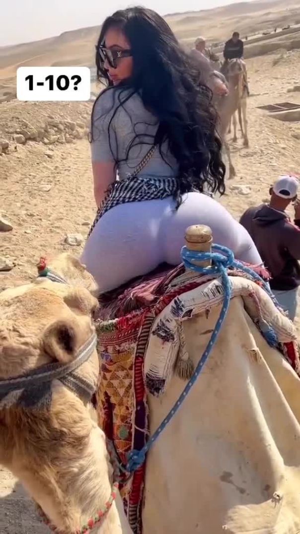 The camel like dammm